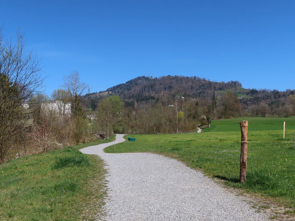 Nauenbachweg mit Blick zum Bachtel