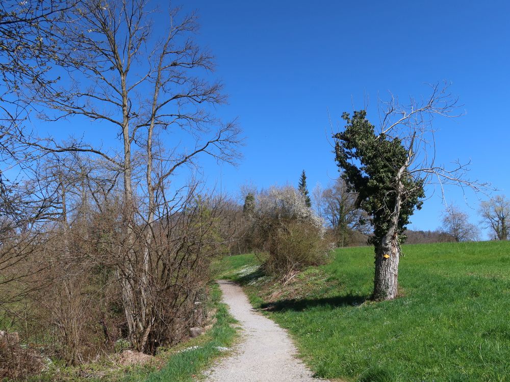 Huebweg