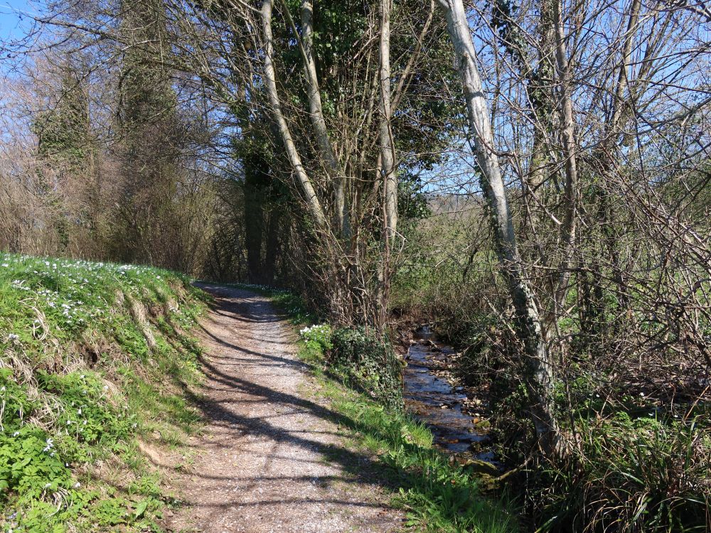 Huebweg