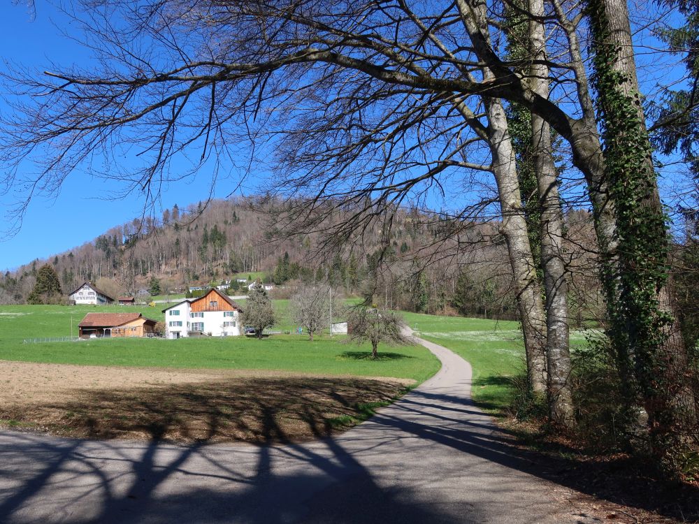 Vordere Schlieren
