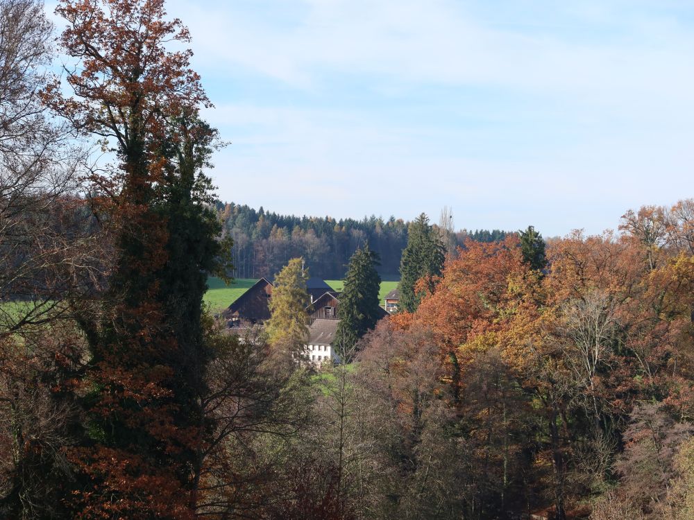 Horbach hinter den Bäumen