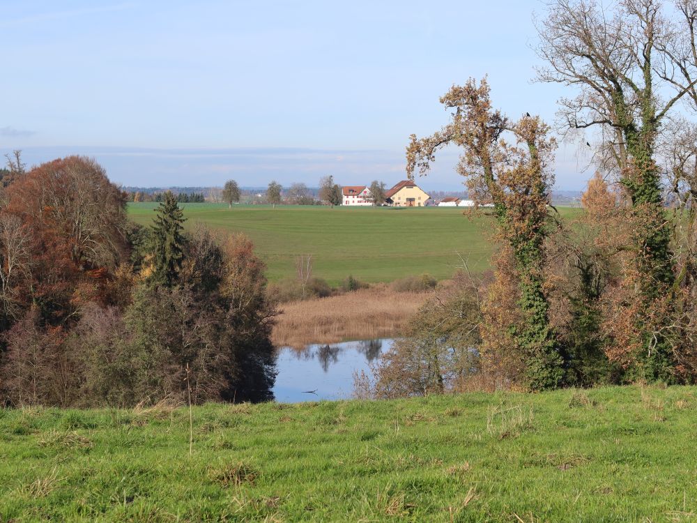 Rütihof überm Rütiweier