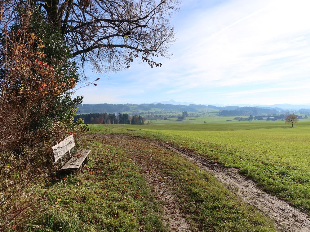Sitzbank mit Säntisblick