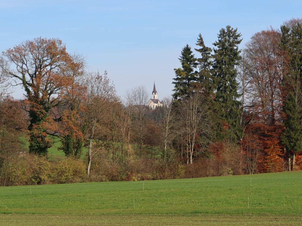Kirche von St. Pelagi