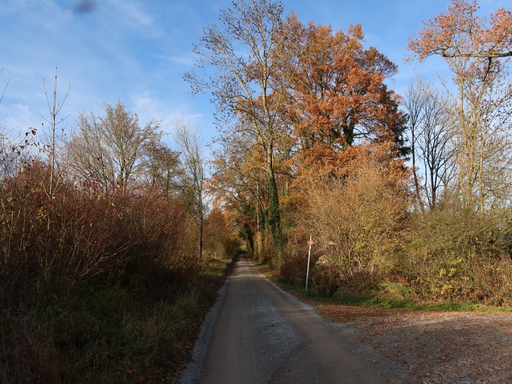 hebstliche Ronwilerstrasse