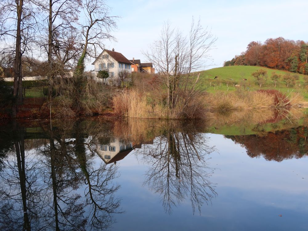 Spiegelung im Hauptwiler Weiher