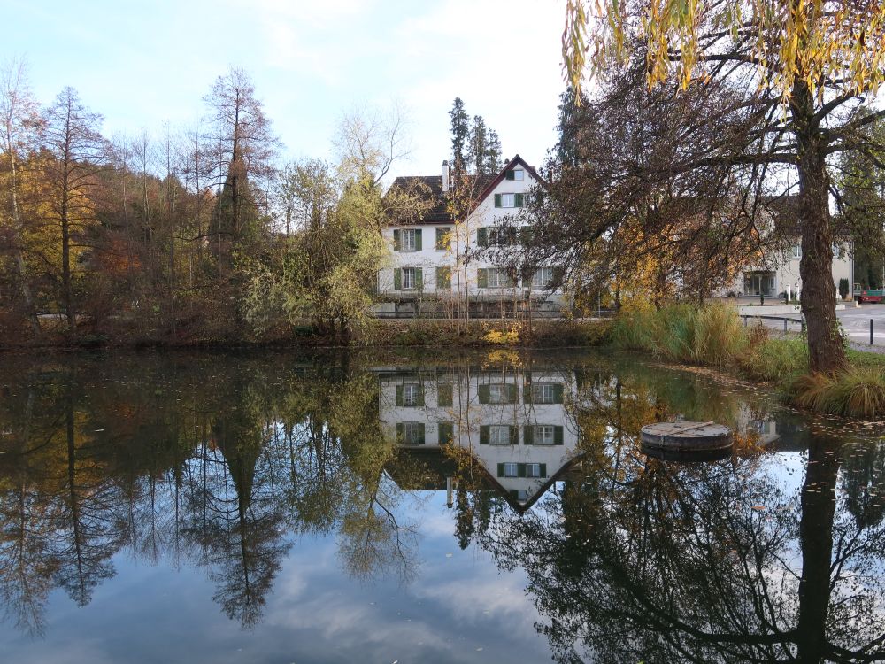 Spiegelung im Hauptwiler Weiher
