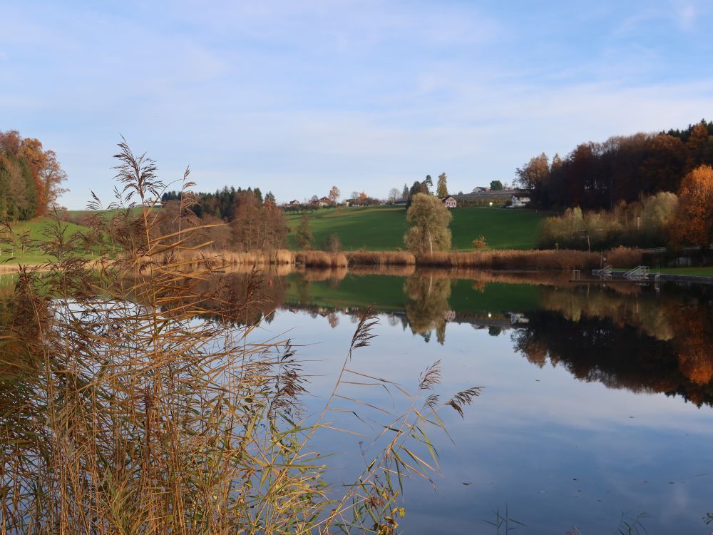 Hauptwiler Weiher