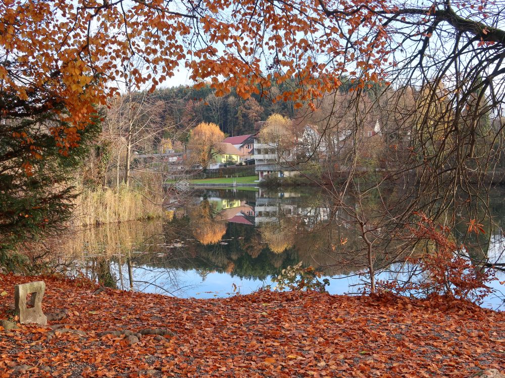 Spiegelung im Hauptwiler Weiher
