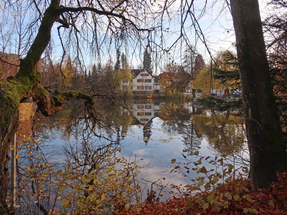 Spiegelung im Hauptwiler Weiher