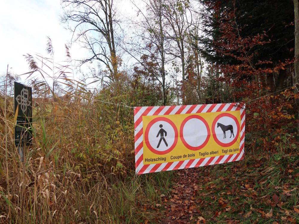 Absperrung wegen Holzschlag