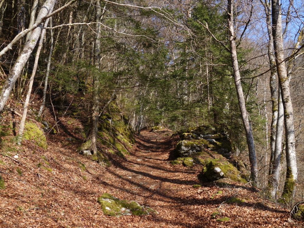 Wanderweg zum Schloss Hausen