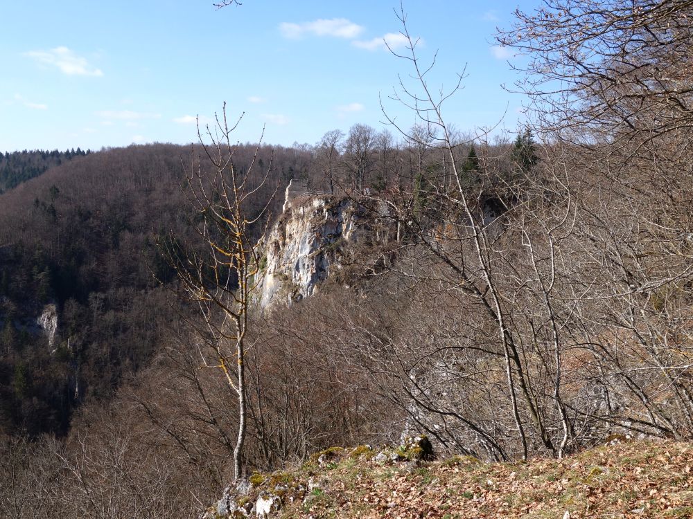 Blick Richtung Schloss Hausen