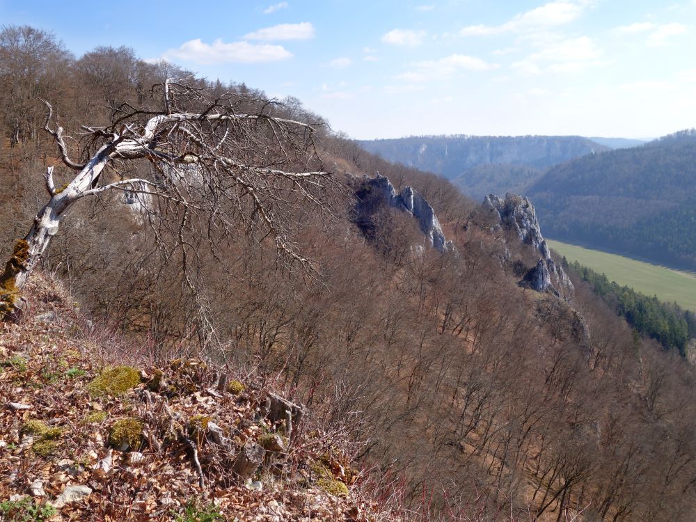 Blick zum Korneliusfels