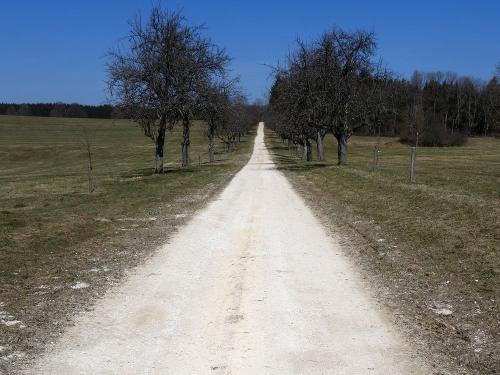 Schotterweg zur Werenwag