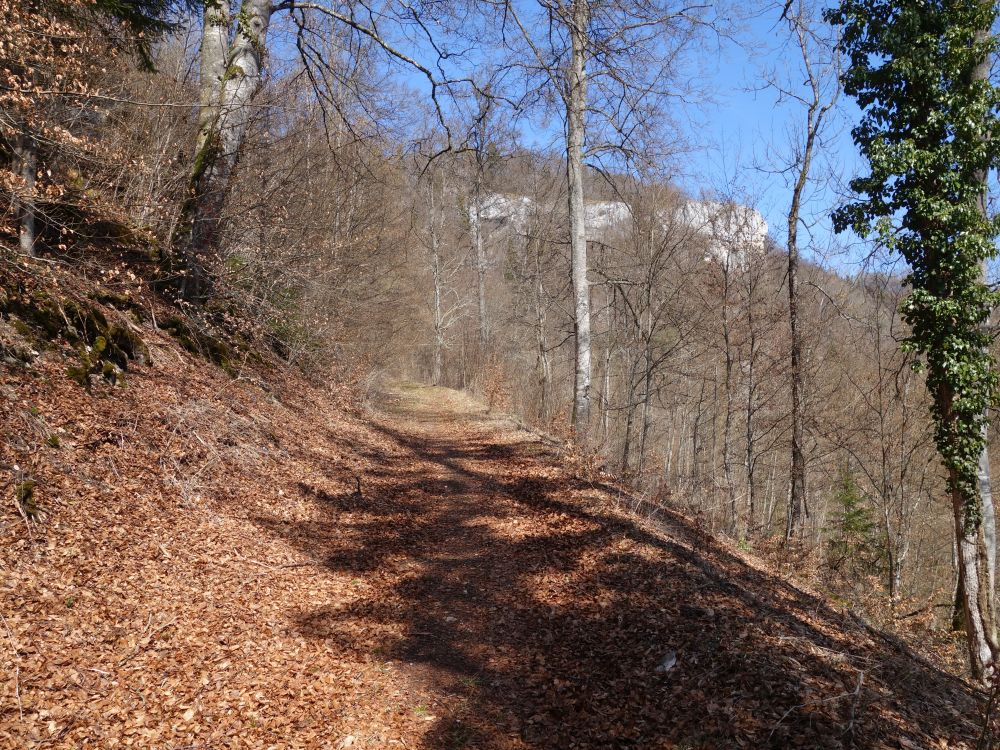 Wanderweg unterm Finstertal