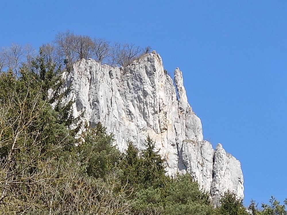 Aussichtsfels bei Werenwag