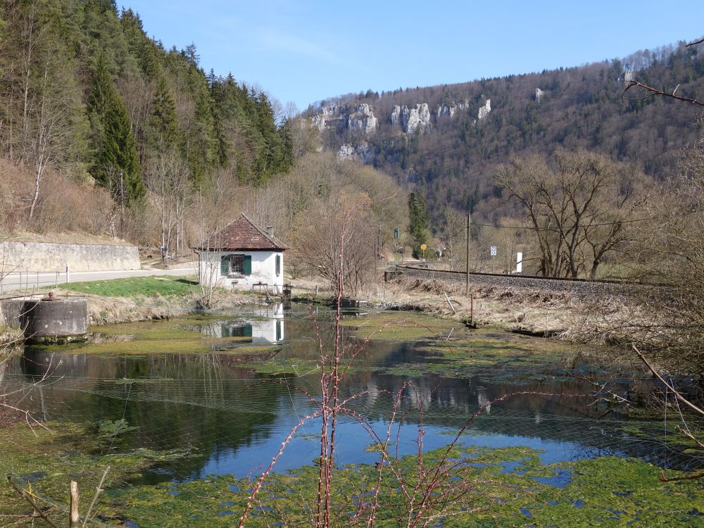 Teich bei Langenbrunn