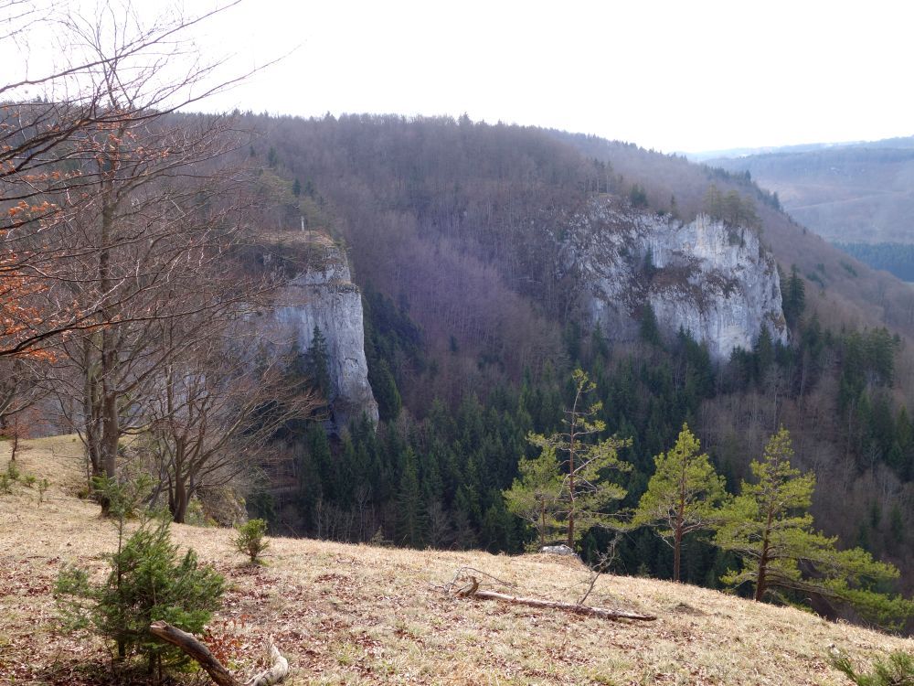 Blick Richtung A. P. Hohler Felsen