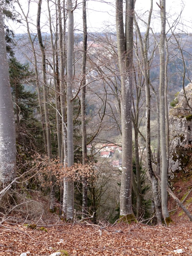 Werenwag und Langenbrunn