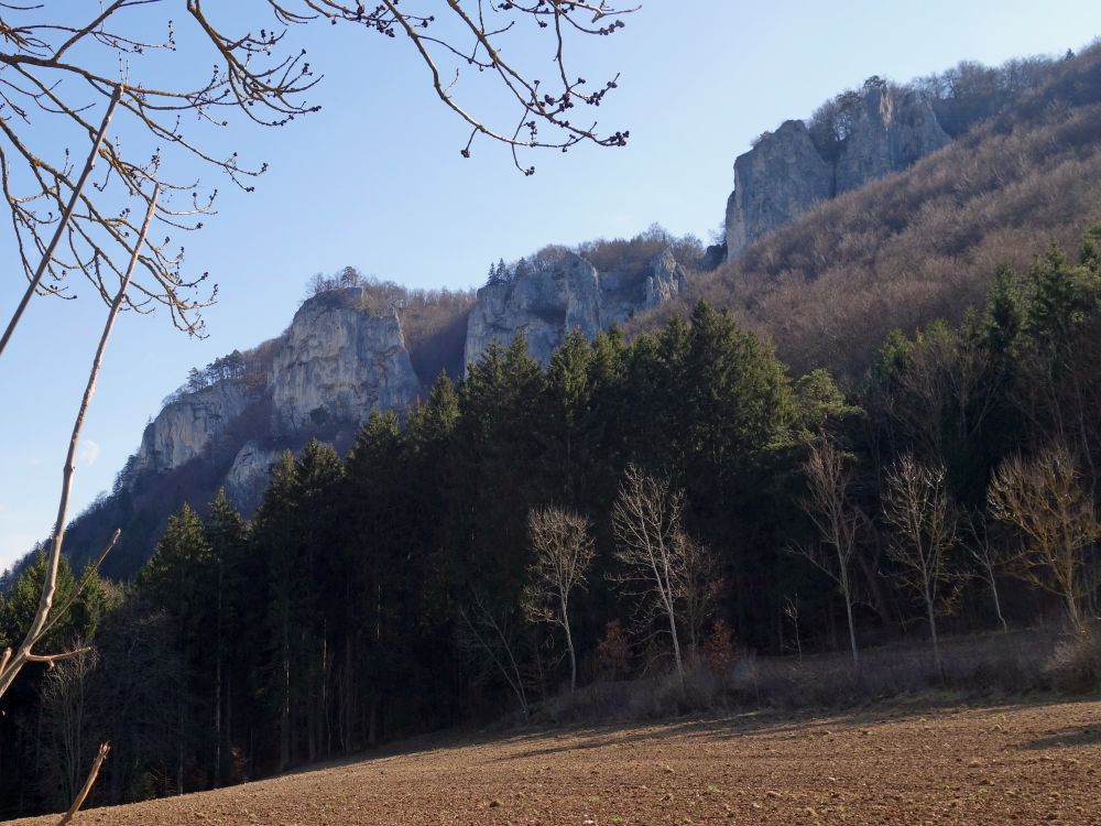 Ruine Wagenburg