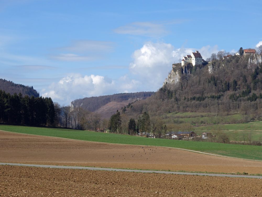 Schloss Werenwag