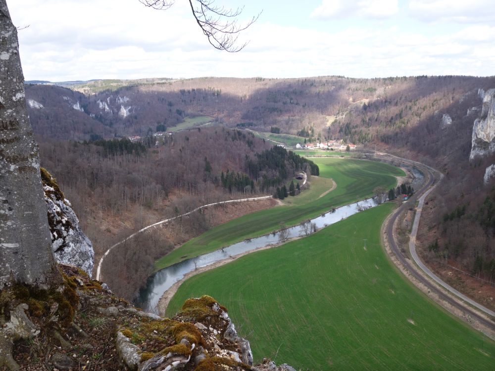 Donau und Unterneidingen