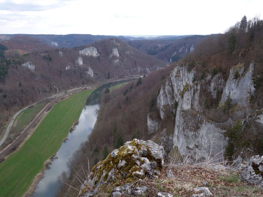 Donau und Falkenstein