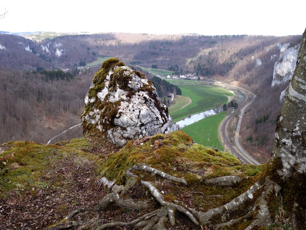 Blick vom Lenzenfels nach Unterneidingen