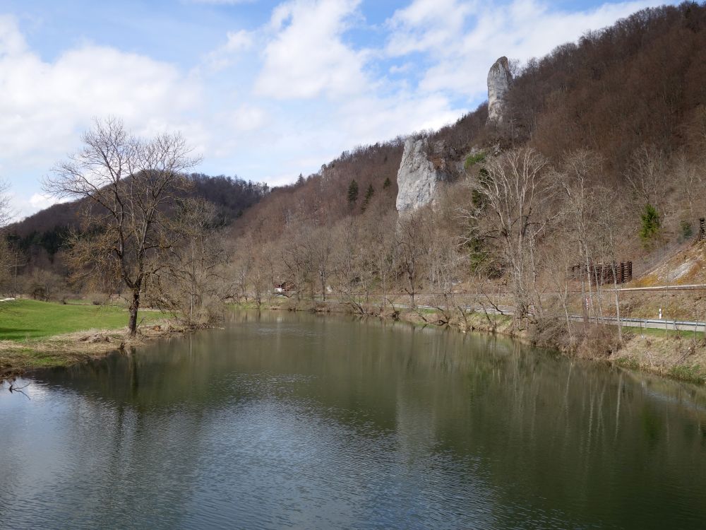 Donau bei Neumühle