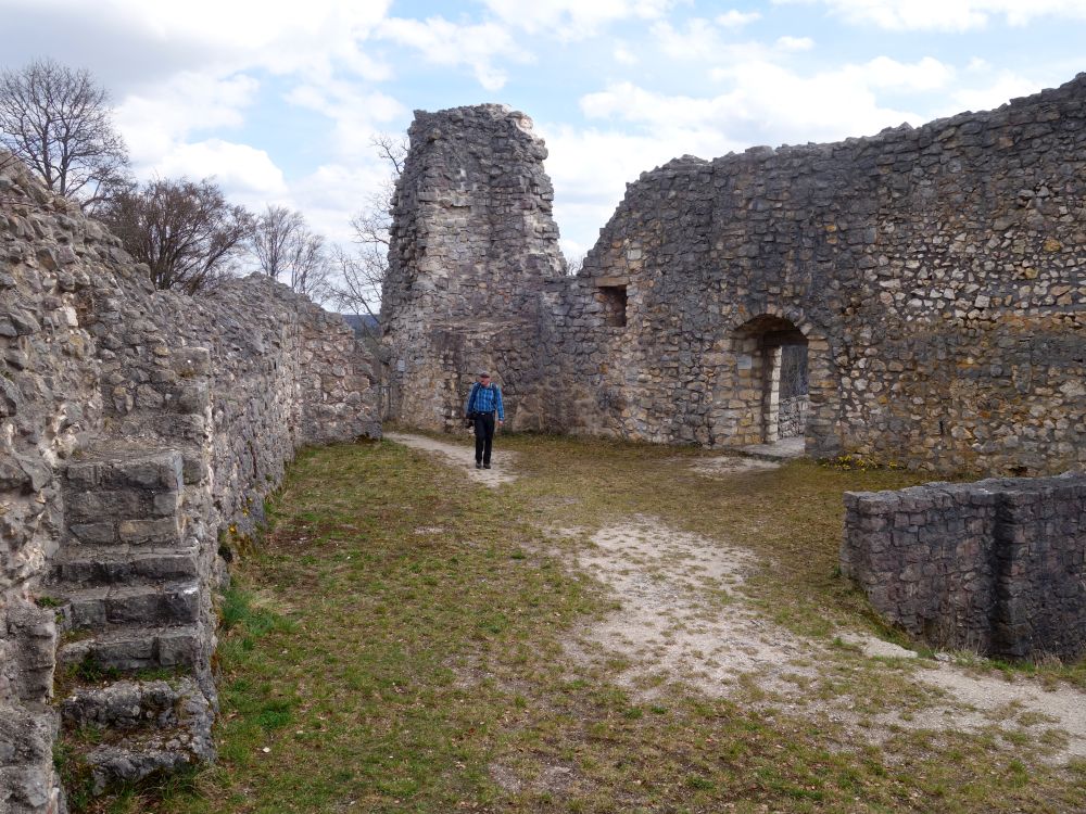 Ruine Falkenstein