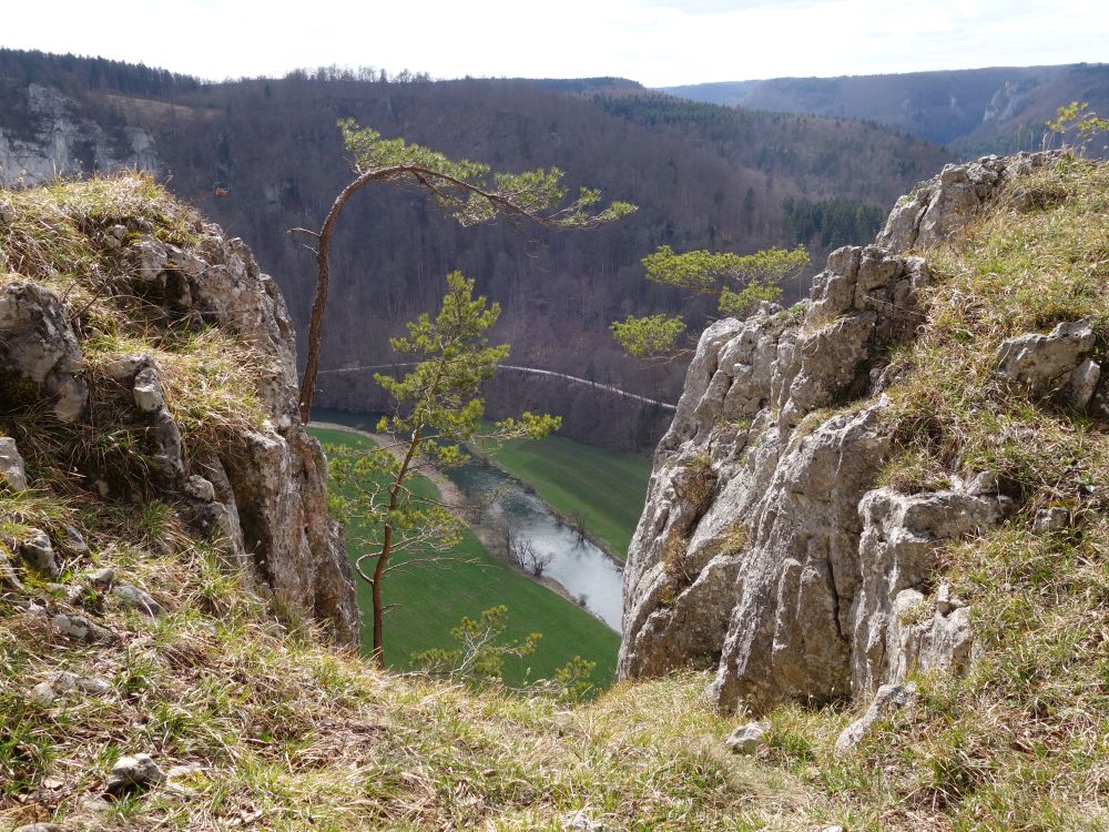 Blick vom Schaufelsen