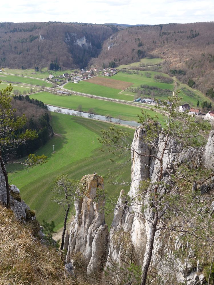 Blick Richtung Neidingen