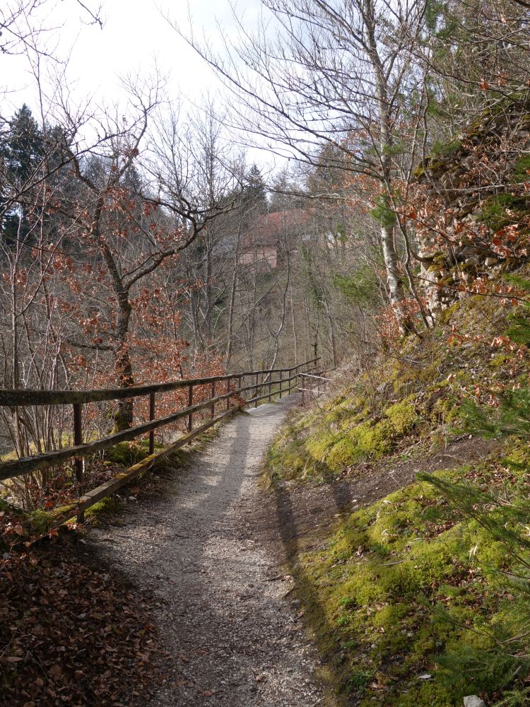 Weg zum Schloss Hausen