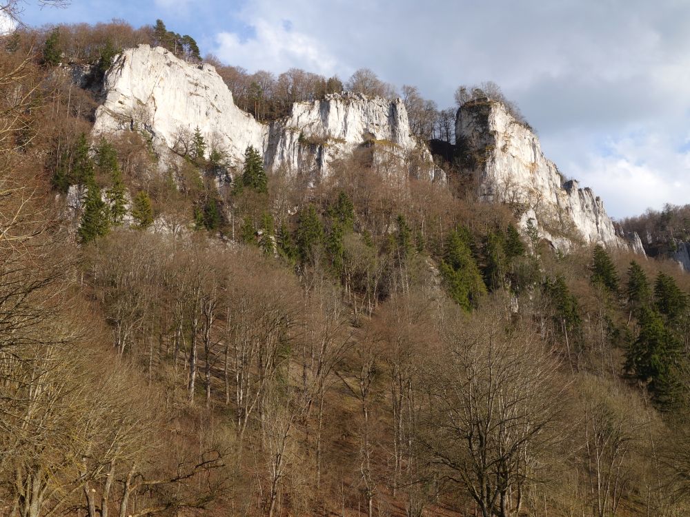 Ruine Wagenburg und Schlossfelsen