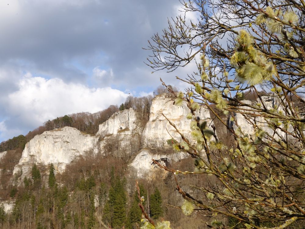 Ruine Wagenburg und Schlossfelsen