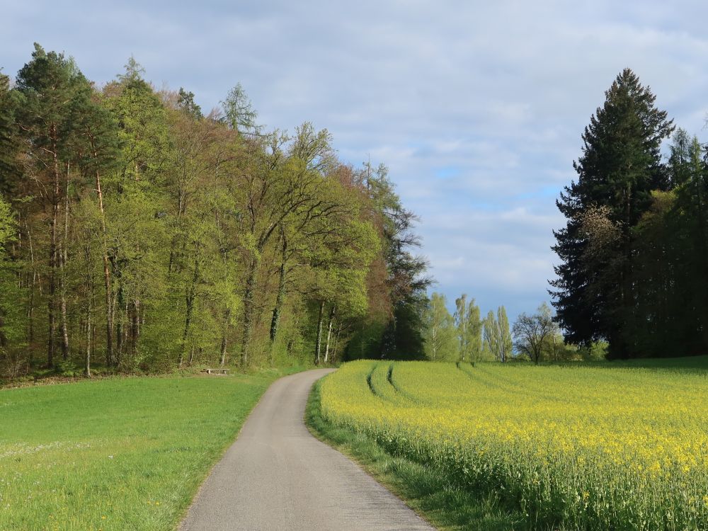 Strässchen bei Eichelrain