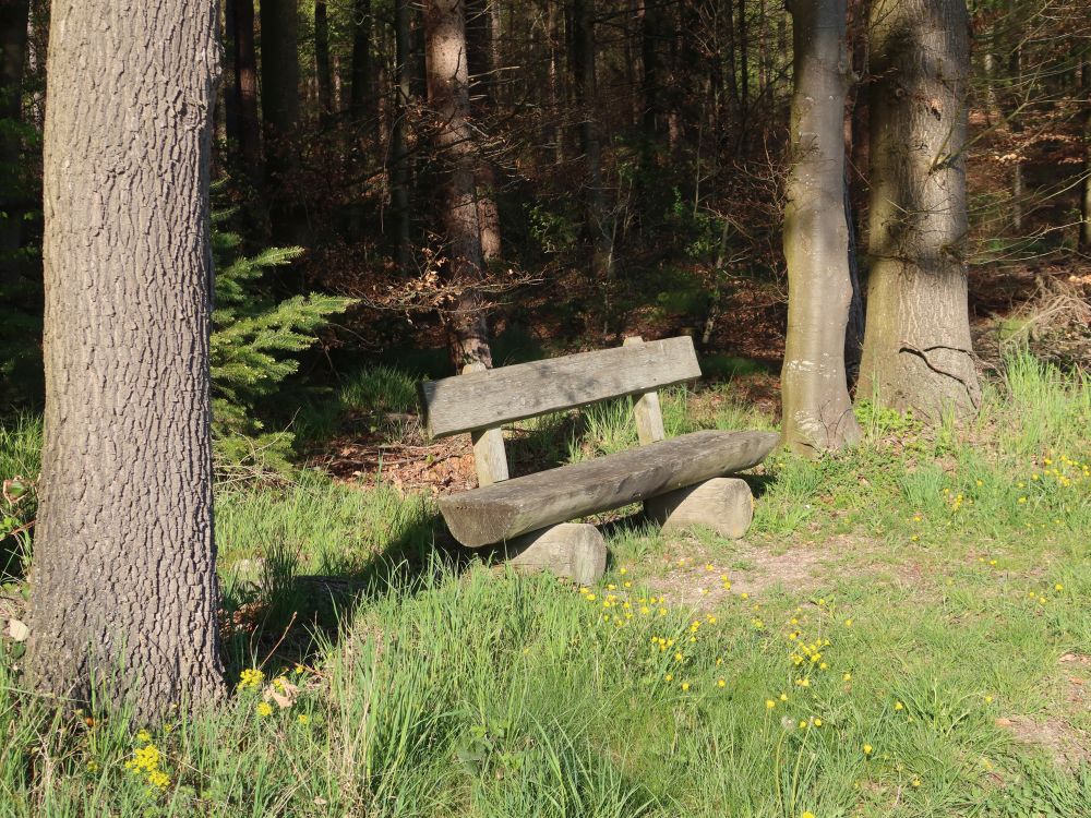 Sitzbank