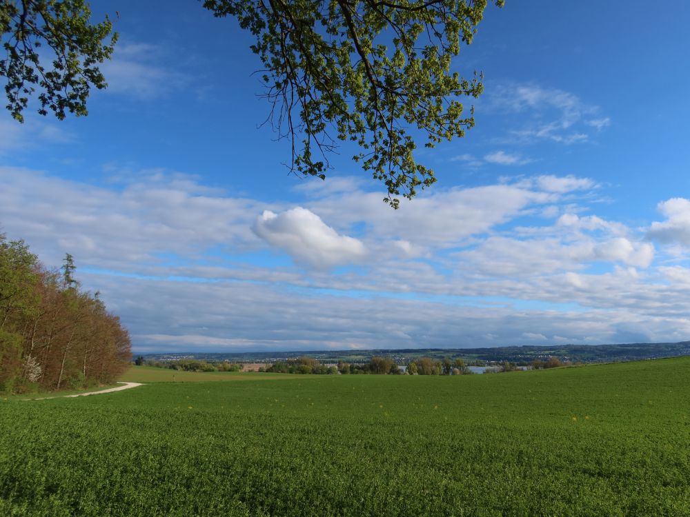 Blick über die Felder