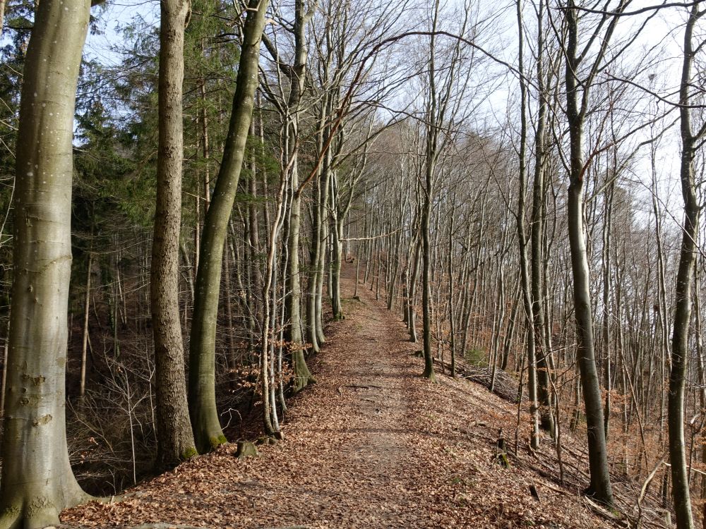 Aufstieg zu den Heidenhöhlen