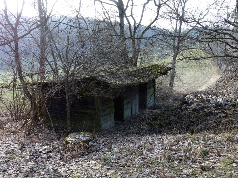 alte Hütte bei Burgtal