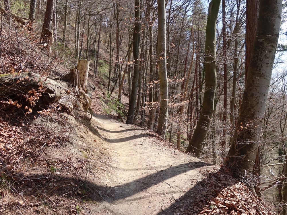 Bergpfad