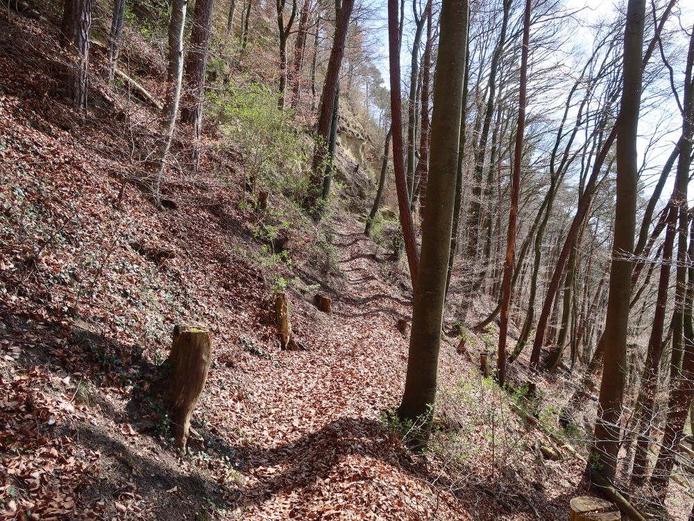 Bergpfad