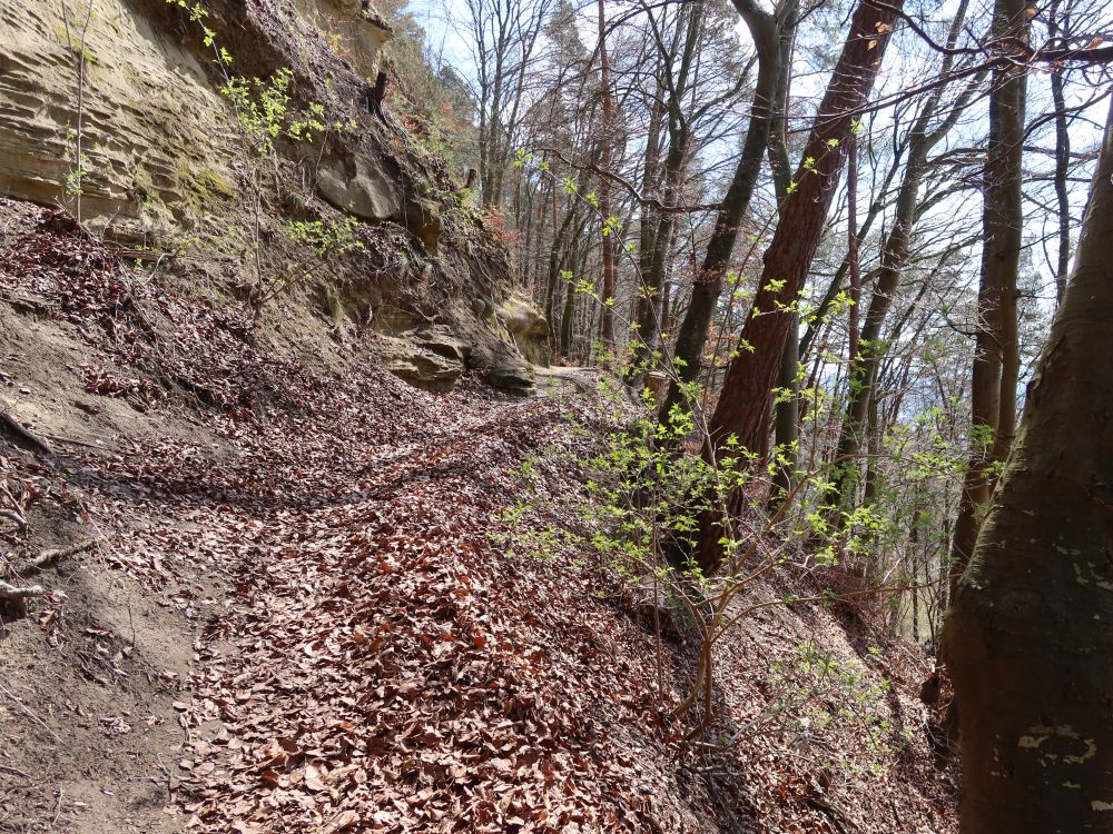 Bergpfad