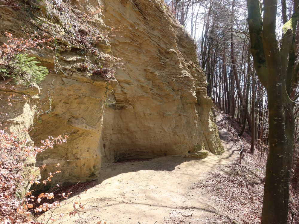 Heidenhöhlen