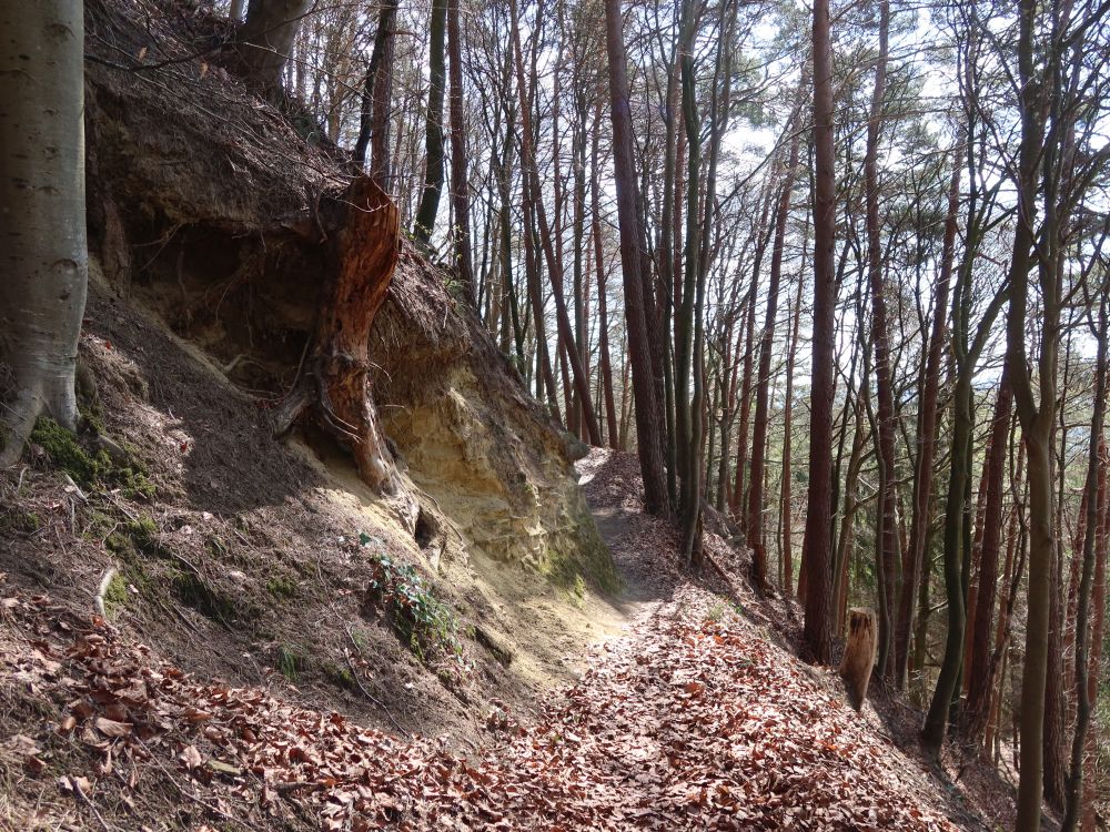 Bergpfad
