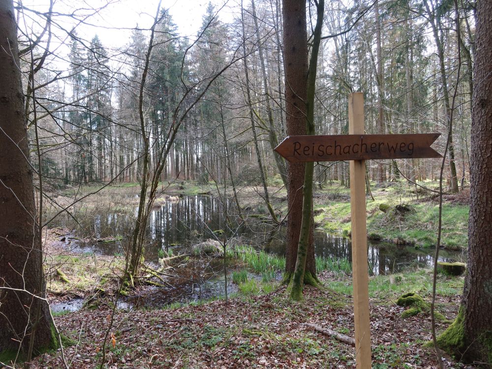Eiszeit-Weiher