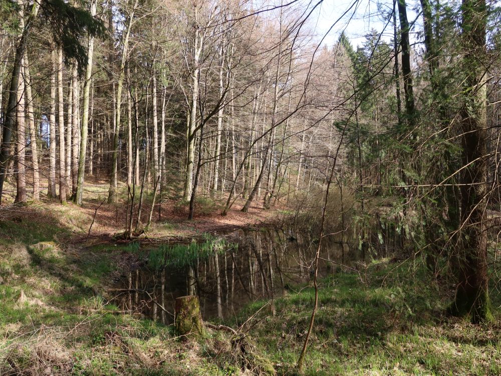 Weiher