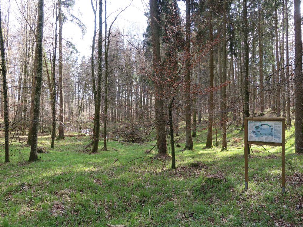 Infotafel