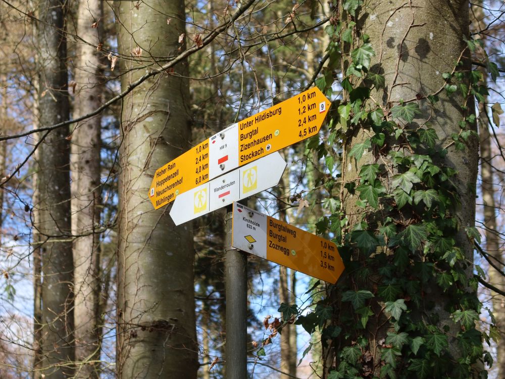 Wanderwegweiser
